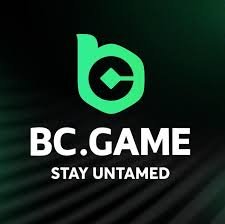 BC.Game Online Crypto Casino Innovations and Opportunities in Gaming